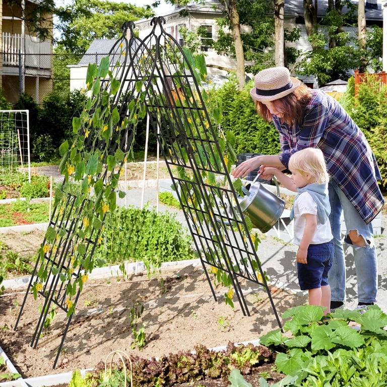 Costway 2/4 Pack Decorative Outdoor Metal Garden Trellis 50 x 180 cm-Black-2 Packs