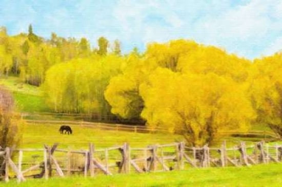 Golden Pasture Canvas Art - Ramona Murdock(20X28)
