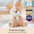 thumbnail image 6 of Baby GUND Peeki the Puppy Animated Plush, Singing Stuffed Animal, Sensory Toy for Babies and Toddlers, Plays Peek-a-Boo and Sings, Brown/Cream, 12”, 6 of 7