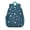 Blue-green, variant on Backpack Featuring Pastel Daisy Floral Prints with Durable Water Resistant Construction for Office Essentials, Outdoor Recreation and Weekend Escapes