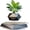 Black, variant on RVKXHD Levitating Plant Pot, Floating Plant Pot Small Floating Flower Pot, 360° Rotating Floating Pots for Plants, Floating Planter for Levitating Decor, Levitating Display Office Desk Decor (Black)
