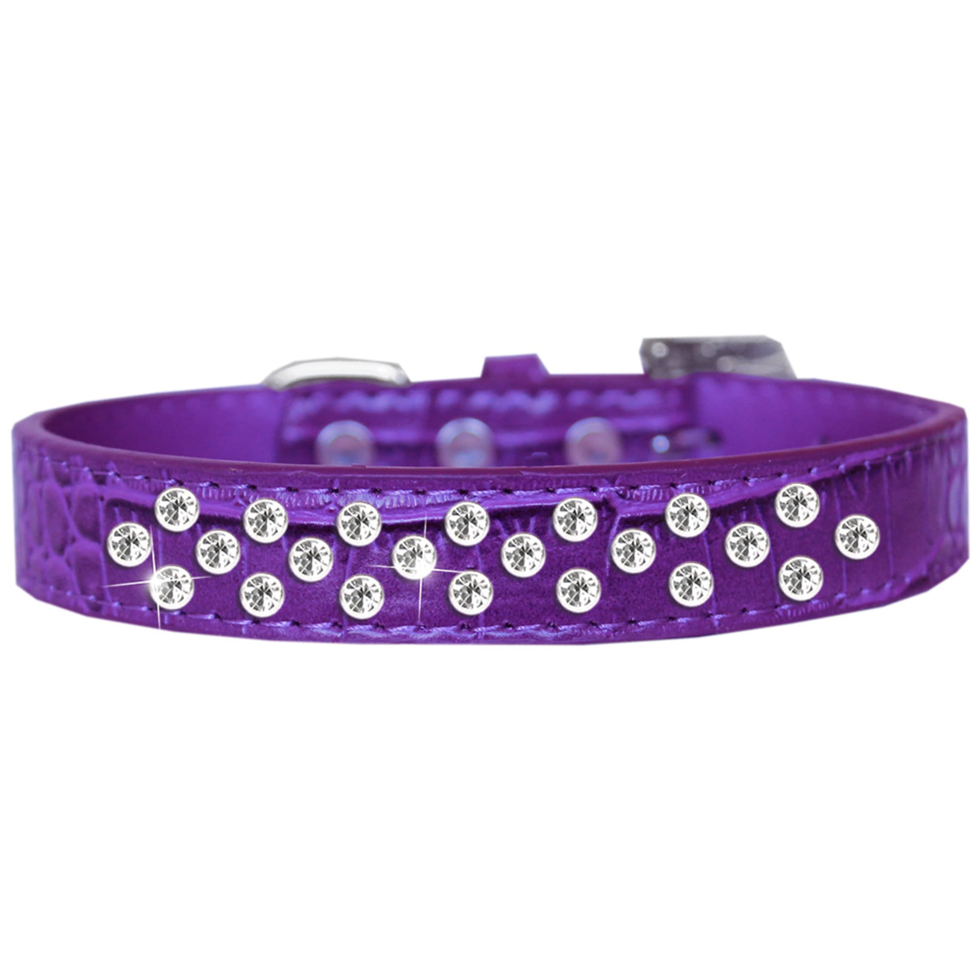 Sprinkles Dog Collar