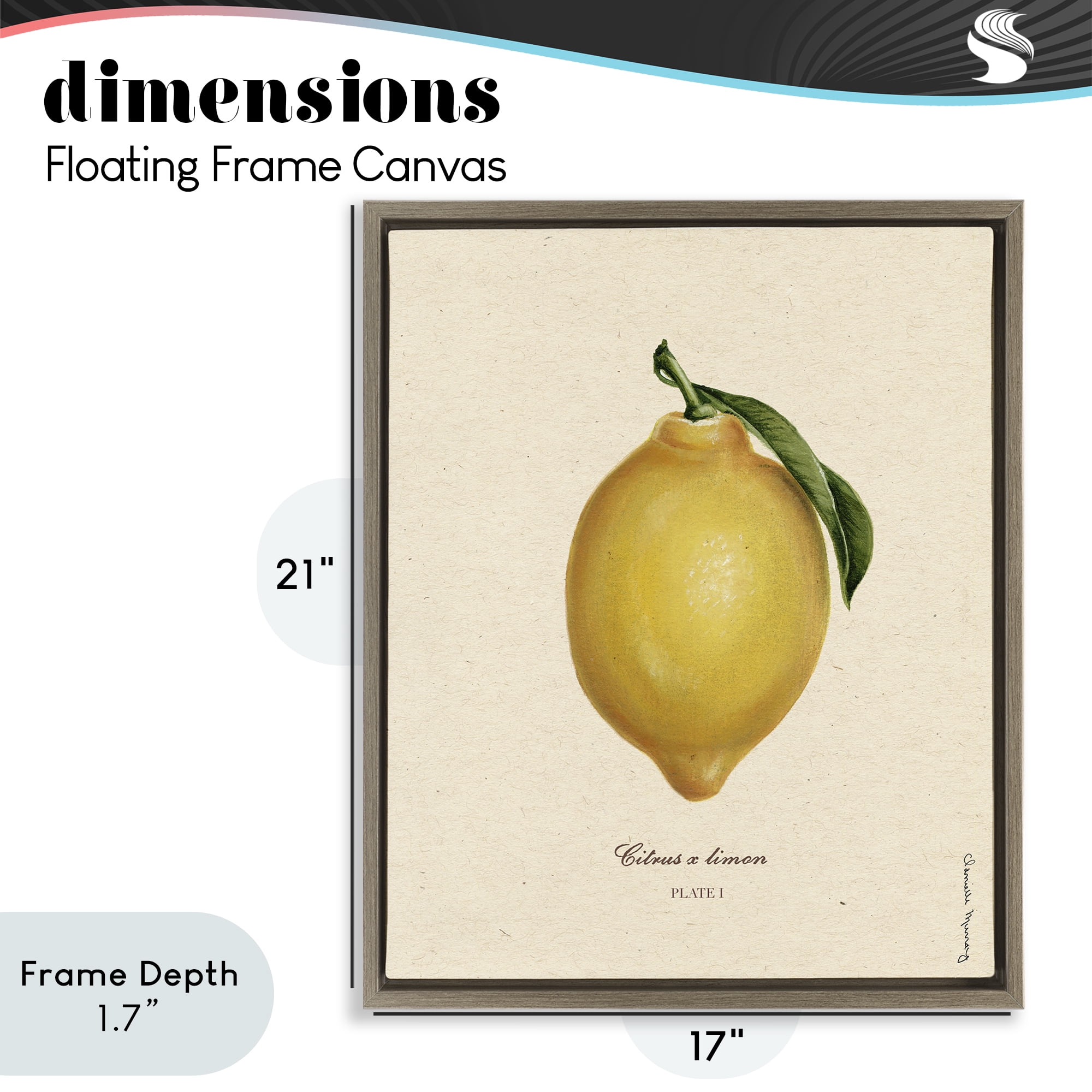 Stupell Industries Lemon Fruit Portrait Brown Framed Floater Canvas Wall Art, design by Danielle Murray