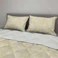 thumbnail image 2 of Ivory Comforter & Sham Bedding Set, Science Molecules Motif Chemical Bonds Circular Atoms in Soft Toned Form Design, 3 pcs Duvet Set Microfiber Filling Quilt, 5 Sizes, Cream White, by Ambesonne, 2 of 4
