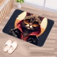 thumbnail image 5 of Cat Polyester Non-Slip Machine Washable Outdoor Carpet Door Mat - Door Rug - Door Rugs, 5 of 6