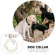 thumbnail image 5 of unbranded 2Pcs Adjustable White Dog Neckwear with Pearls and Soft Leash for Outdoor and Party Use, 5 of 7