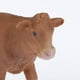 thumbnail image 5 of Modelo Plástico de La Del Juguete Del Ganado de La Simulación Conveniente para La Educación Temprana niño Hugo Juguetes de figuras de animales, 5 of 8