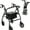 Black, variant on Folding Rollator Walker with Seat, Steel Rolling Walker with 8" Wheels & Storage Bag, Supports up to 286.6lbs, Medical Walker， Black & Red