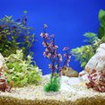 thumbnail image 4 of Unique Bargains 1pcs Fish Tank Aquarium Decorations Plants 12.80" Plants for Aquarium Decor Purple, 4 of 6