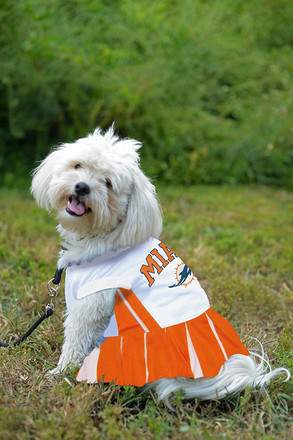 buffalo bills dog cheerleader outfit