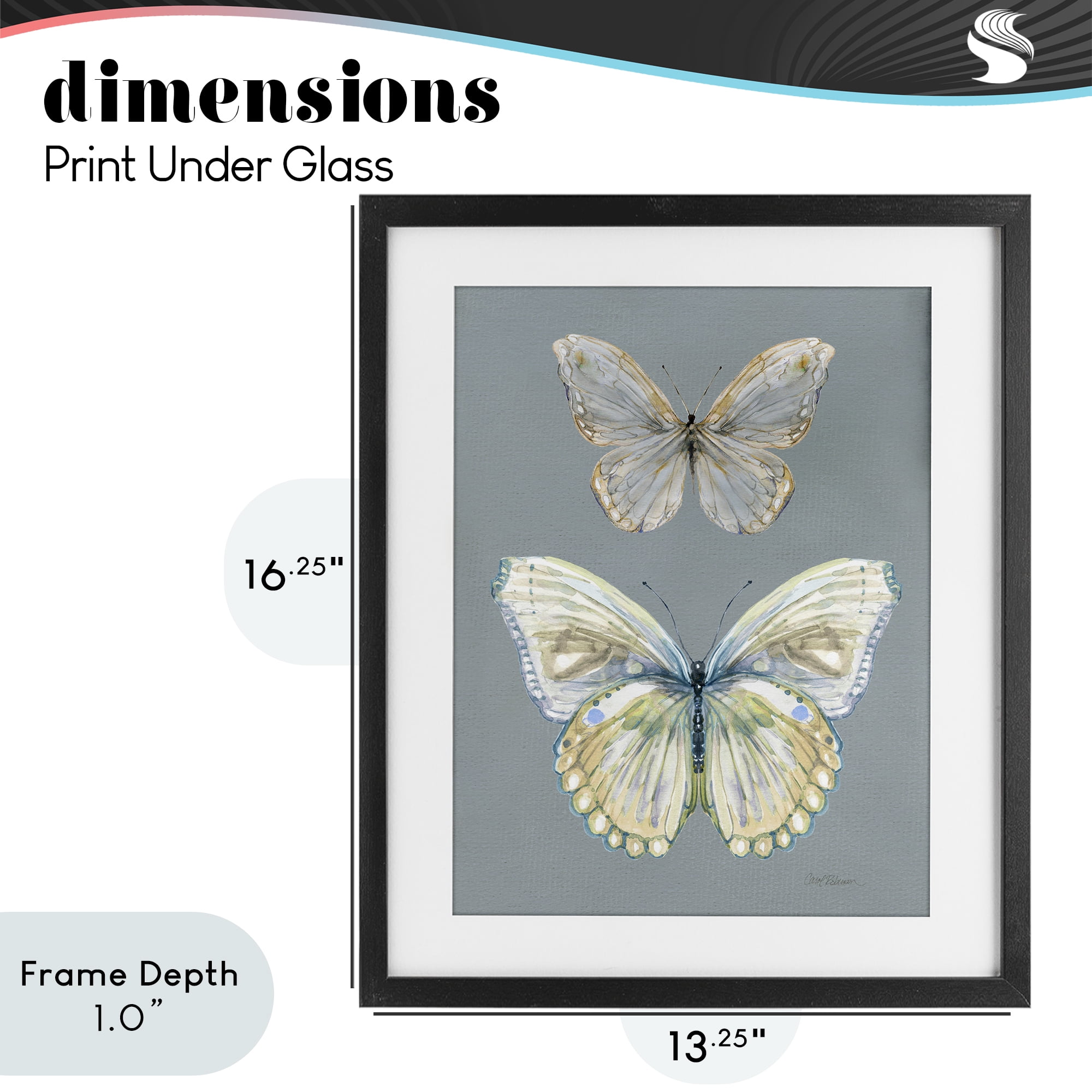 Stupell Industries Butterfly Pair Study Black Framed Print Under Glass, design by Carol Robinson