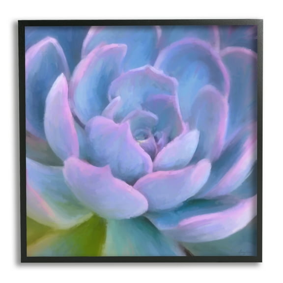 Stupell Industries Purple Modern Succulent Botanical & Floral Painting Black Framed Art Print Wall Art, 12 x 12