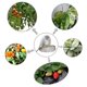 thumbnail image 2 of Tira LED para cultivo de plantas 5 metros, 300 LEDs 5050, espectro completo, impermeable IP65, 12V DC, luz roja/azul 5:1, ideal para hidroponía e invernaderos., 2 of 6