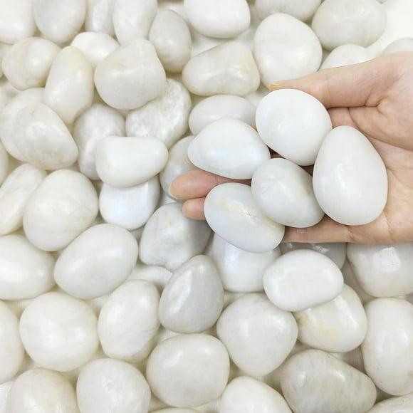 Rocas decorativas de río blancas de 2,27 kg para interiores y exteriores