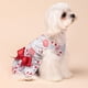 thumbnail image 3 of Vestido navideño Fitwarm con bastones de caramelo para perros pequeños talla XS, 3 of 8