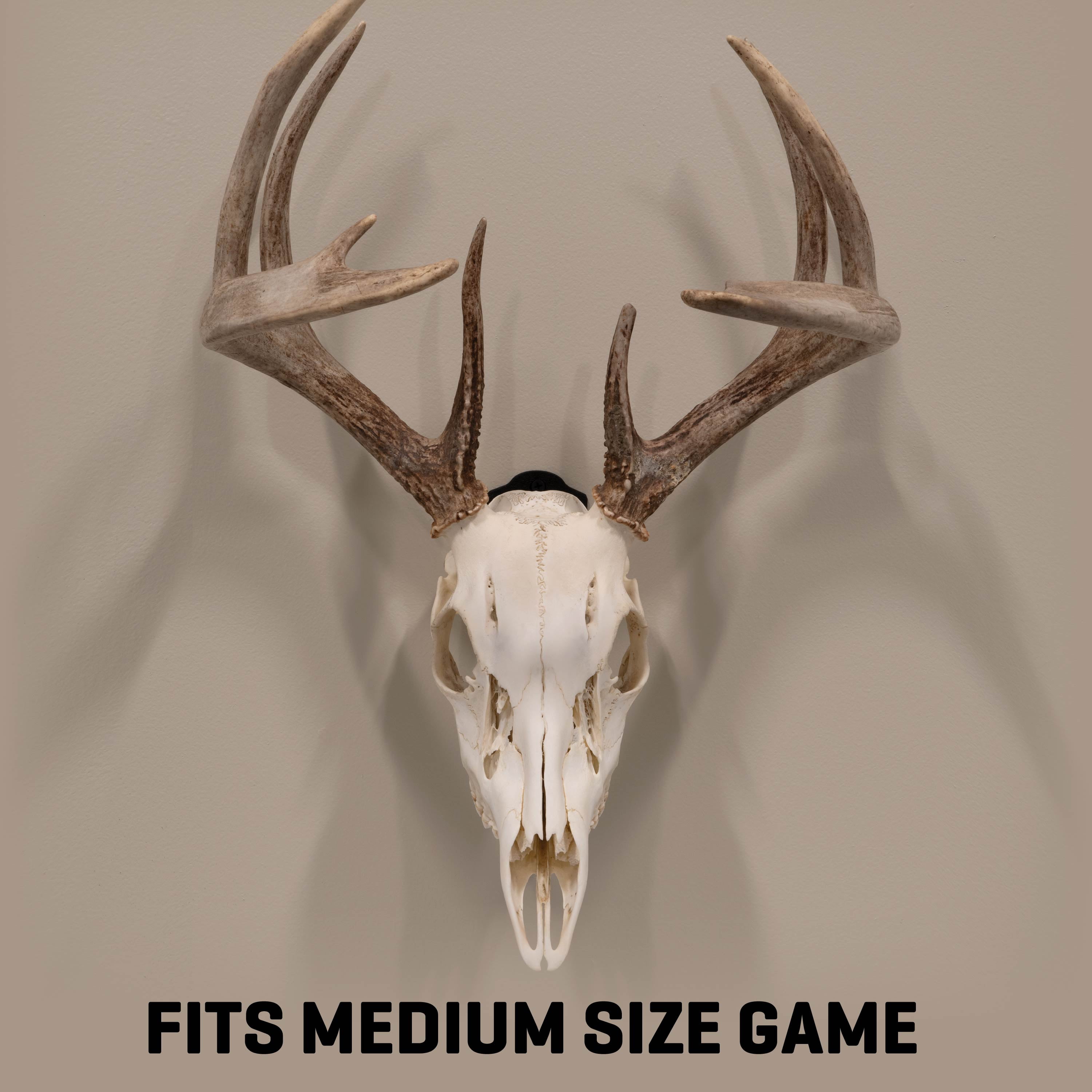 Allen Company EZ Mount Skull Peg - Steel European Mount Hanger - Matte Black