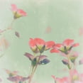 thumbnail image 2 of Lambert, Tom 12x12 White Modern Wood Framed Museum Art Print Titled - Romantic Meadow, 2 of 4