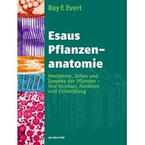 Esaus Pflanzenanatomie, (Hardcover)