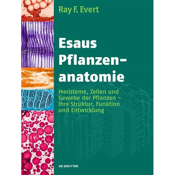Esaus Pflanzenanatomie, (Hardcover)
