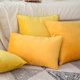 thumbnail image 3 of Paquete de 2 fundas de almohada de terciopelo para otoño, decorativas, cuadradas, suaves, 3 of 5