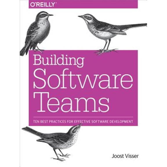 Pre-Owned Building Software Teams Paperback