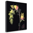thumbnail image 2 of "Echeveria" By Andrew Levine, Fine Art Giclee Print on Gallery Wrap Canvas, Ready to Hang, 2 of 2