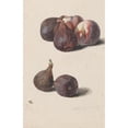 thumbnail image 3 of Leopold Zinnögger 11x14 Black Modern Framed Museum Art Print Titled - Figs and Peaches (1833), 3 of 5