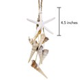 thumbnail image 4 of Beach Elegance Hanging Starfish and Spiral Cone Shell Natural Wind Chime, 4 of 4