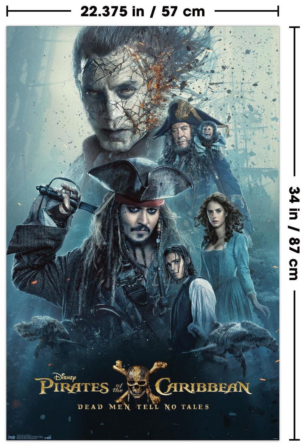 NHL Chicago Blackhawks - Logo 21 Wall Poster, 22.375" x 34"