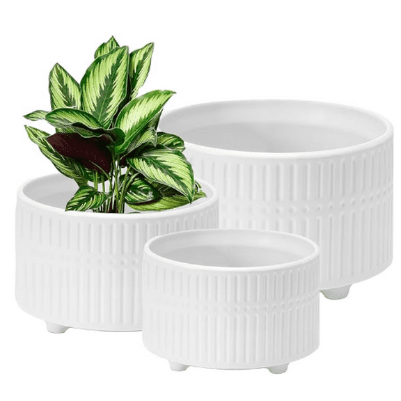 Round White Ceramic Ribbed Planter Pots with Drainage Holes, 3 Count