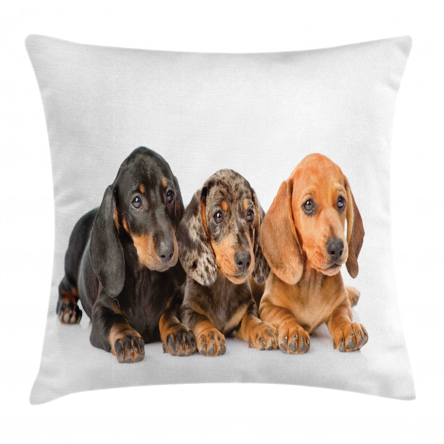 Dachshund Throw Pillow Cushion Cover, Dog Lover Photo of Sweet Long