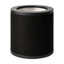 Nispira 2-in-1 True HEPA Replacement Filter for Air Purifier | Compatible with TaoTronics TT-AP008 | Remove Smoke, Dust, Pollen | 1 Pack