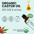 thumbnail image 3 of Herbion Naturals Huile de Ricin Biologique Certifiée USDA 100 ml, 3 of 6