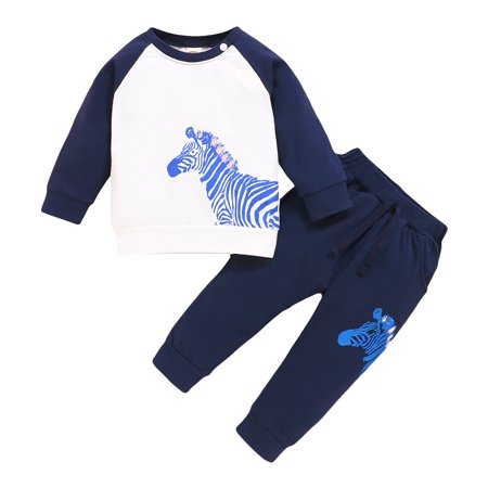 

Mikrdoo Toddler Baby Boys Clothes 4 Years Boys Zebra Print 5 Years Boys Long Sleev Tops Elastic Pants 2Pcs Outfits Blue