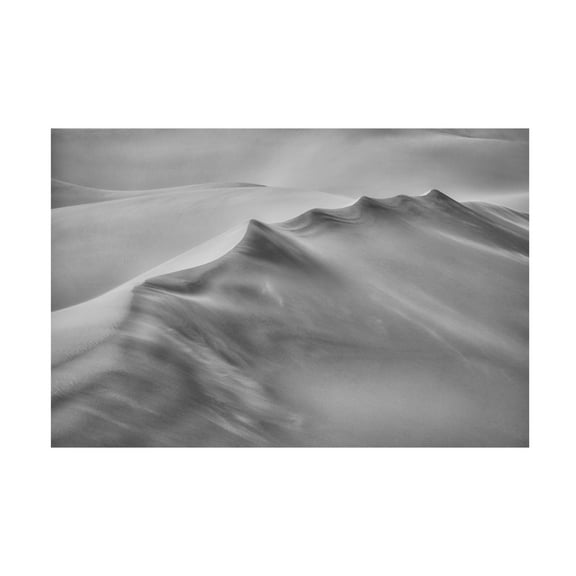 Trademark Fine Art Michael Zheng Blowing Sand Canvas Wall Art