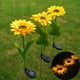 thumbnail image 2 of De Girasol Luz De Estaca De Jardín Luz Led Impermeable Para La Decoración De La Pasarela Del Porche De La Yarda sonducket HA043062-01, 2 of 6