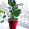 thumbnail image 2 of Paquete de 3 cubiertas para macetas para plantas de interior, protectores de suelo ajustables de 19cm, mantienen a los gatos fuera de las plantas en macetas, plantas de interior, 2 of 5