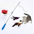 thumbnail image 1 of Exerciser Toy for Cat and Kitten - Interactive Play Wand$Interactive Cat Feather Toys, Retractable Cat Wand Toy for Indoor Cats Kitten Play Chase Exercise$Durable Dog Toy for Fun Obedience Training & Exercise, 1 of 5
