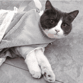thumbnail image 5 of Bolsa de red de ducha para gatos, bolsa de baño ajustable, bolsa de lavado multifuncional, bolsa de sujeción para gatos, evita mordeduras y arañazos, ideal para bañarlos, cortarles las, 5 of 5