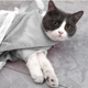 thumbnail image 5 of Bolsa de red de ducha para gatos, bolsa de baño para el cuidado de gatos, bolsa de lavado ajustable para gatos, bolsa de sujeción multifuncional para gatos que evita mordeduras y arañazos, 5 of 5