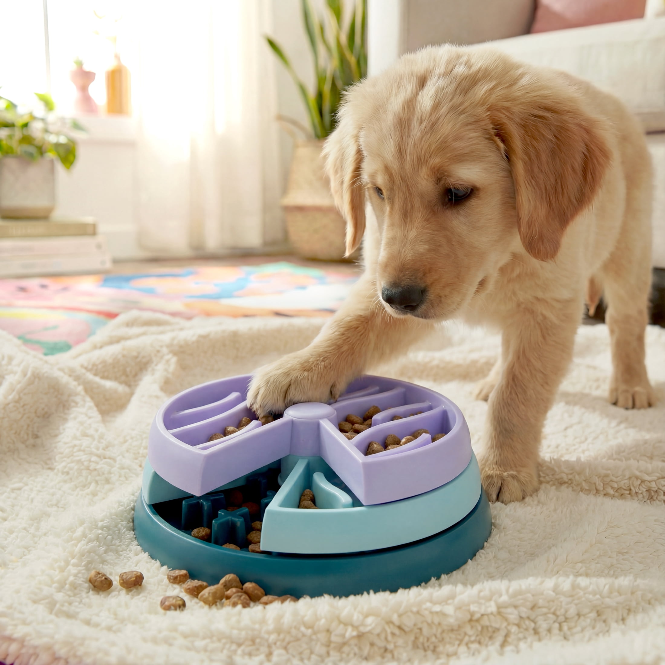 Oodles Durable Plastic Tripler Layer Enrichment Slow Feeder Bowl for Dogs, Blue, One Size