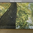 thumbnail image 6 of Ambesonne Tree Place Mats Set of 4, Forest Autumn Growth Eco, Standard Size, Dark Brown Pale Green, 6 of 6