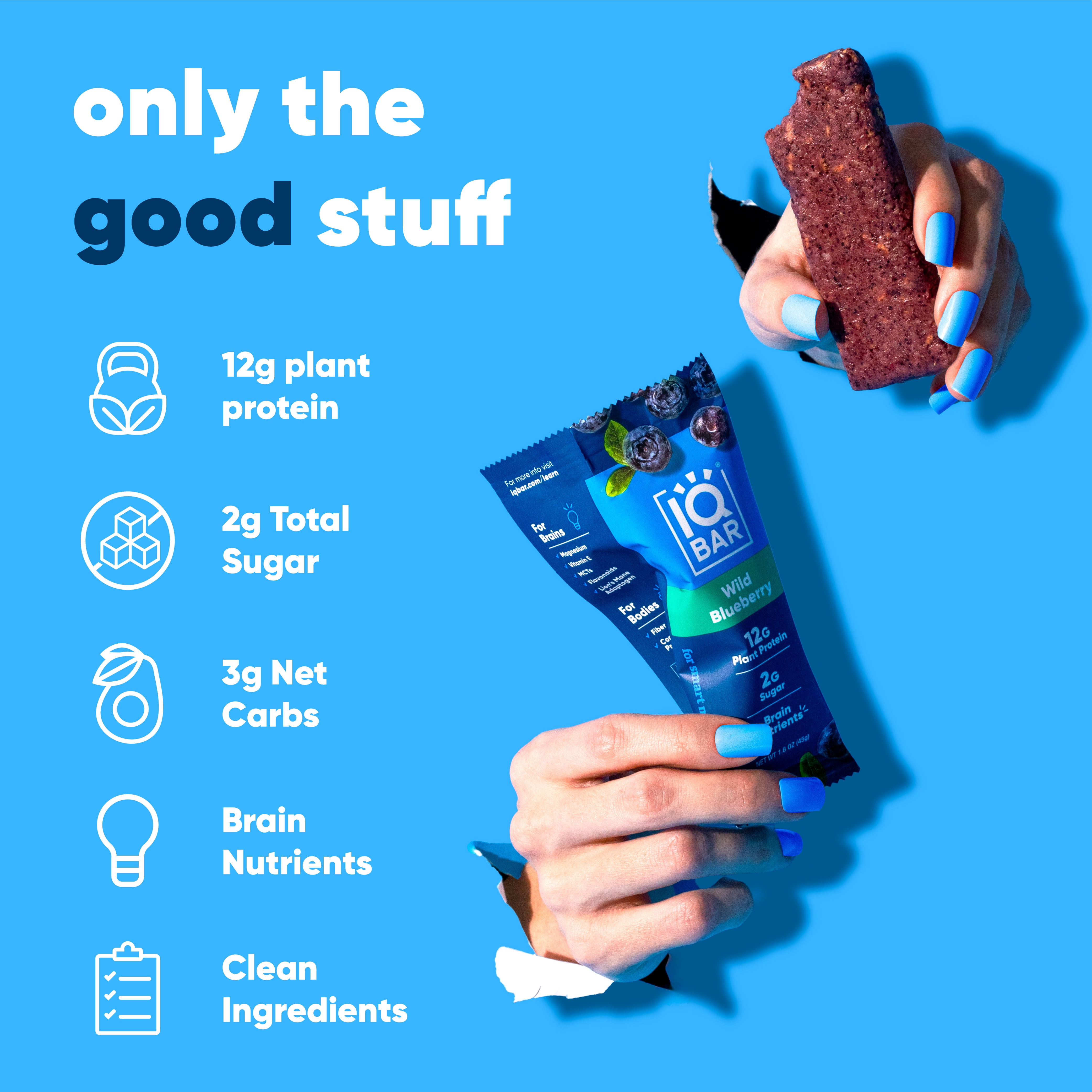 IQBAR Clean Plant Protein Bars - Fruit Lovers Variety - 12 Count - Keto, Vegan, High Fiber, Gluten and Dairy Free, Low Sugar Snack