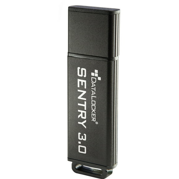DataLocker Sentry 3.0 8 GB Encrypted Flash Drive