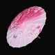 thumbnail image 5 of Paraguas de danza clásica china - Hecho a mano, resistente al viento, rosa, 5 of 10