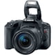 thumbnail image 2 of Canon EOS Rebel SL2 DSLR Camera with 18-55mm Lens (Black) Basic w/ Memory Kit + 11-24mm Lens (Intl Model) Canon 2249C002, 2 of 5