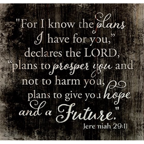 P Graham Dunn I Know The Plans I Have For You Distressed 10 X 10 Wood Pallet Design Wall Art Sign Walmart Com Walmart Com