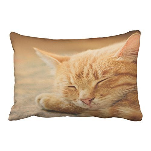 glowing eyes tabby cat pillow