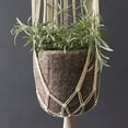 thumbnail image 2 of Grey Felt Hanging Succulent Planter Set, 2 of 4