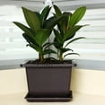 thumbnail image 3 of POINTERTECK Succulent Flower Pot Square Rectangular Plastic Bonsai Flowerpot Garden Tool, 3 of 10